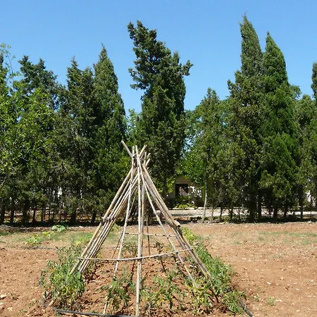 Es Palmer 3*