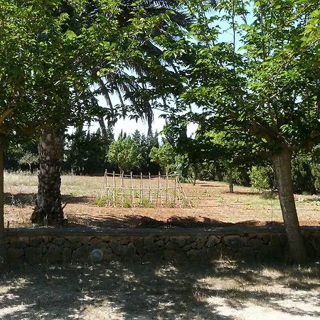Es Palmer Campos (Mallorca)
