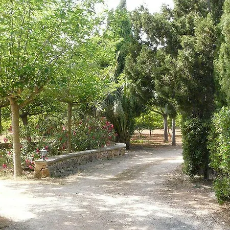 Es Palmer 3*