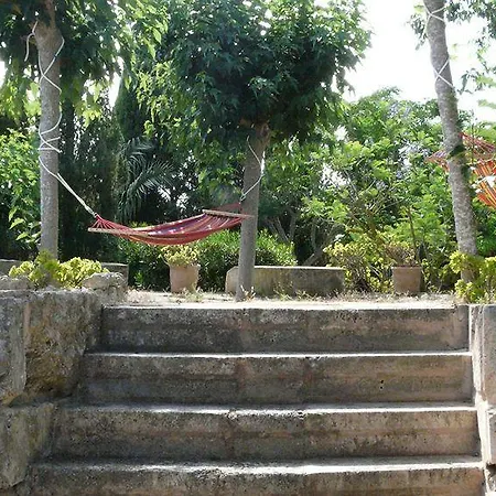 Es Palmer 3*